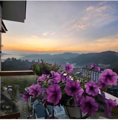 Kensington Sunrise Sg, Palas Horizon,Kea Farm Brinchang Exterior photo