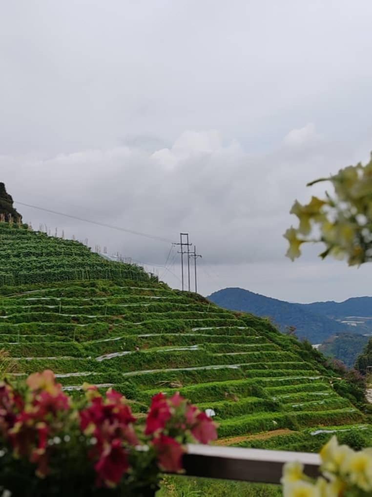 Kensington Sunrise Sg, Palas Horizon,Kea Farm Brinchang Exterior photo